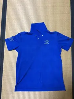 Item thumbnail for item f49cb0a4-e08a-446d-a3c5-3e438b697dee