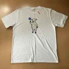 Item thumbnail for item a0ea4e26-1638-4952-923b-0fcf66bb8cbb