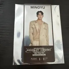 SEVENTEEN MINGYU タレントカード　ノベルティ