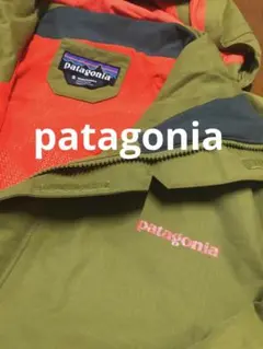 2025年最新】パタゴニア スノーショットジャケットの人気