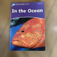In the Ocean - Dolphin Readers