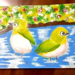 水浴びするメシロさん。色鉛筆画像。2Lサイズ