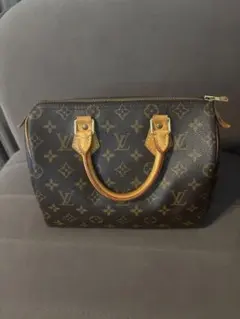 Louis Vuitton スピーディ25 モノグラムハンドバッグ