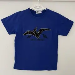WASK SAURUS 恐竜 Tシャツ 120のサムネイル