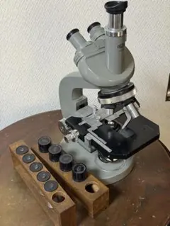 다나카 씨, 이것들은 모두 올림푸스 현미경 접안렌즈와 대물렌즈를 사용한 사진들입니다.보내기