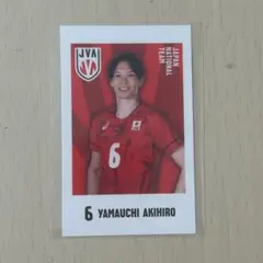 山内晶大 バレーボール男子日本代表 キャラポトレ
