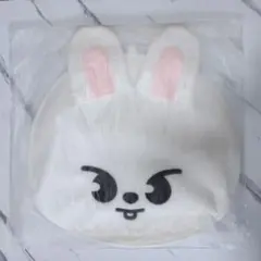 スキズ うちわケース Leebit リービット リノ Lee Know