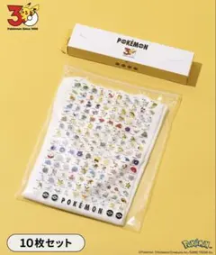 3COINS スリコ ポケモン30周年 BIGジップバッグ　スリーコインズ