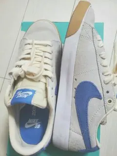 Nike SB スニーカー グレー/ブルー
