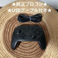ニンテンドースイッチ 純正 プロコン ブラック 12