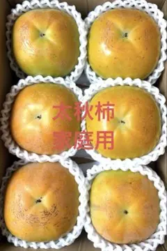 加工用　5kg 天草産 露地枇杷 無農薬 天草産 無農薬 露地枇杷 約2.6kg - メルカリ