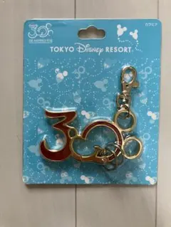 東京ディズニーリゾート 30周年 カラビナ キーホルダー