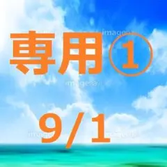 kaka様 リクエスト 3点 まとめ商品