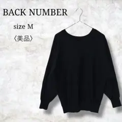 美品✨【バックナンバー】Ｖネック長袖ニット　プルオーバー 無地　シンプル　M