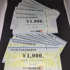 ビックカメラ コジマ 株主優待券12枚