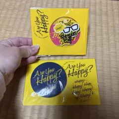 【新品】嵐Are You Happy? ピンバッジ 2個セット　フレークシール