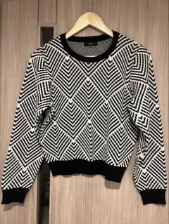 EMODA クロップド丈 ニット セーター モノトーンのサムネイル