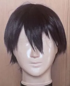 2025年最新】剣持刀也ウィッグの人気アイテム - メルカリ