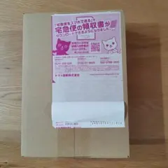 シャイニートレジャーex BOX　シュリンク付き　ポケセン産