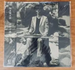 新品未開封 坂本慎太郎 ナマで踊ろう 廃盤レコード 貴重 - メルカリ