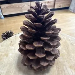 Item thumbnail for item 6614ed1b-ec7e-401b-b1a8-58622083da32