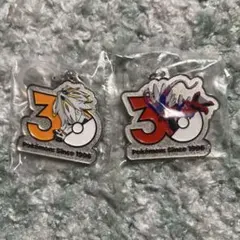 ポケモン 30周年 メタルチャームマスコット　コライドン 　ソルガレオ
