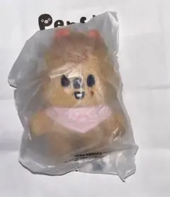 スキズ ハン アイドル
