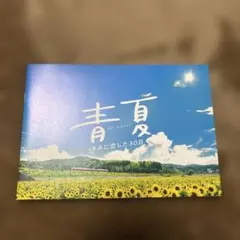 映画　青と夏　パンフレット　葵わかな　佐野勇斗