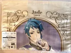 ツイステ　ジェイド　マルチクロス　セガ　ラッキーくじ