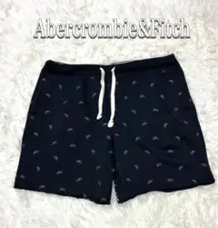 Abercrombie & Fitch プリントショートパンツスウェット XL