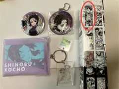 鬼滅の刃　胡蝶しのぶ　ミニポーチ　キーホルダー　キャラポス　缶バッチ　セット