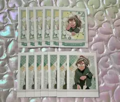 忍たま乱太郎 ぱしゃこれ 第4弾 善法寺伊作 13枚