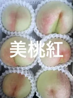 岡山県産 一宮ブランド マンゴーピーチ | Mercari
