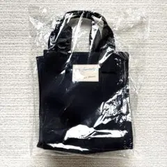 三代目JSB 10周年　キャンパストートバッグ