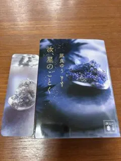 【初回限定 メッセージ入りしおり付き】 汝、星のごとく