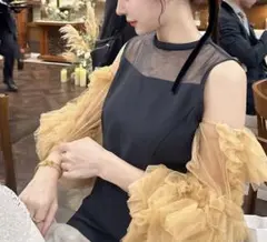 ANDRESD チュールフリルスリーブ3wayドレス