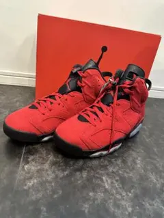 Nike Air Jordan 6 Retroのサムネイル