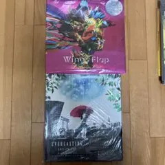 L'Arc-en-Ciel Wings Flap EVERLASTING