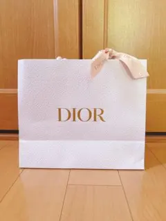 【早い者勝ち】Dior ショップ袋 ホワイト