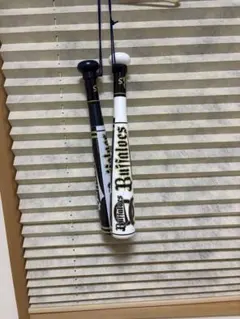 Item thumbnail for item 0b5ebc0b-95a9-4e9b-93a2-82ff3235a53d