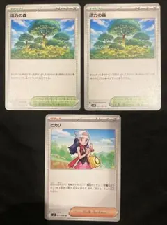 ヒカリ　活力の森　インフェルノX