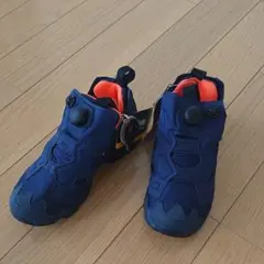 Reebok INSTAPUMP FURY TECH 23cm