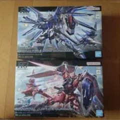 HG 1/144 ライジングフリーダムガンダム　イモータルジャスティスガンダム