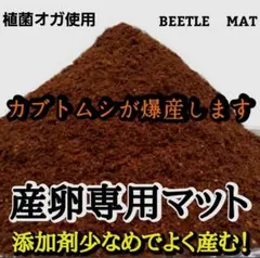 カブトムシの産卵専用　ビートルマット【50L】添加剤少なめで産卵意欲アップします