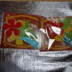 Item thumbnail for item 0cf3e6b3-2373-4df0-9e01-76f357a85655