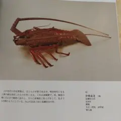 自在置物 平成20年　40P SC