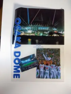 2001年近鉄バッファローズ優勝記念大阪 DOME限定クリアファイル2枚セット