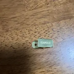 Item thumbnail for item 1936d8e6-2551-4327-a207-223f2ac99323