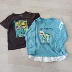 恐竜Tシャツ 2枚セット 120cmのサムネイル