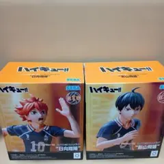 ハイキュー!! ハイプレミアムィギュア 2体セット プライズ獲得品